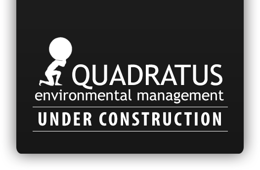 Quadratus Environmental Management